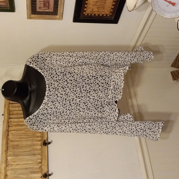 wild fable Tops - 🟢 4oz (82)  wild fable  sheer star open back,ruffled bottom, bell sleeve blouse